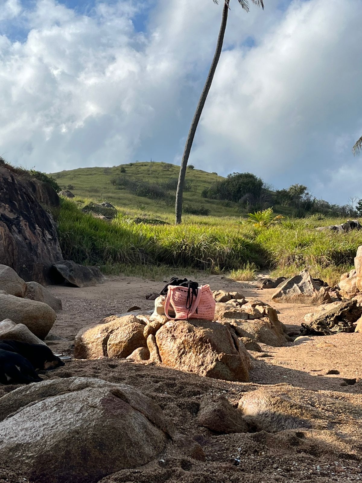 Coleção Verão 1